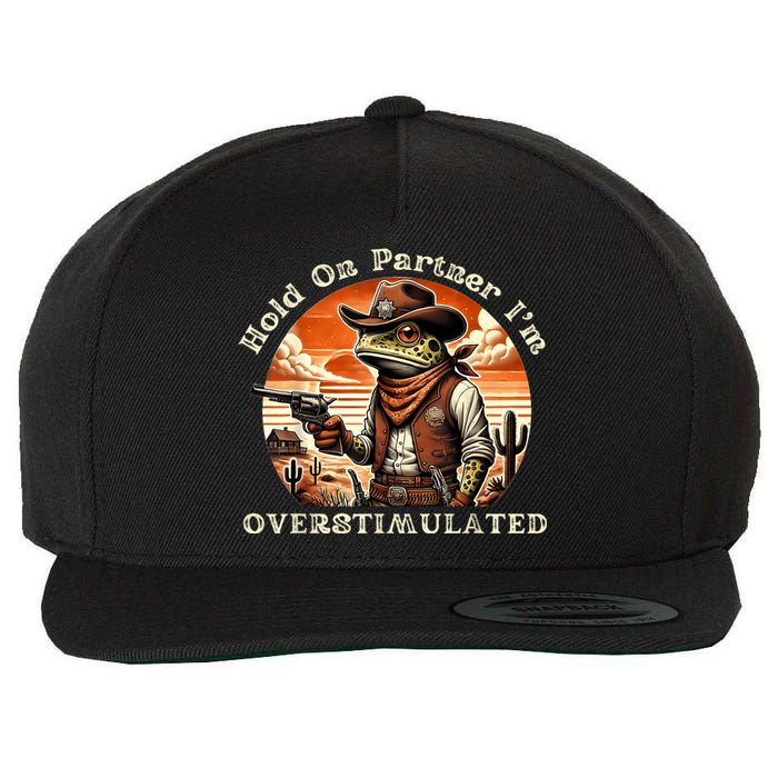 Hold On Partner IM Overstimulated Cowboy Frog Vintage Wool Snapback Cap