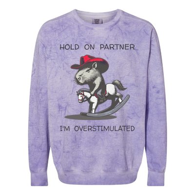 Hold On Partner I Am Overstimulated Funny Capybara Colorblast Crewneck Sweatshirt