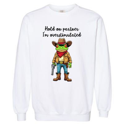 Hold On Partner IM Overstimulated Cow Frog Garment-Dyed Sweatshirt