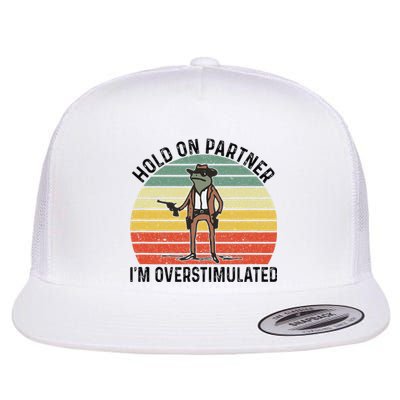 Hold On Partner IM Overstimulated Cowboy Frog Vintage Flat Bill Trucker Hat