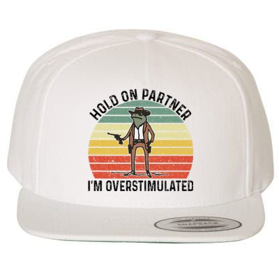 Hold On Partner IM Overstimulated Cowboy Frog Vintage Wool Snapback Cap