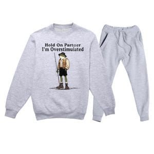 Hold On Partner IM Overstimulated Funny Frog Fishing Humor Premium Crewneck Sweatsuit Set