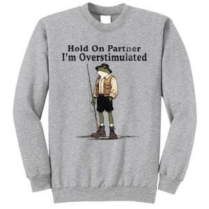 Hold On Partner IM Overstimulated Funny Frog Fishing Humor Tall Sweatshirt