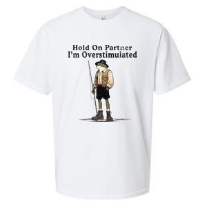 Hold On Partner IM Overstimulated Funny Frog Fishing Humor Sueded Cloud Jersey T-Shirt