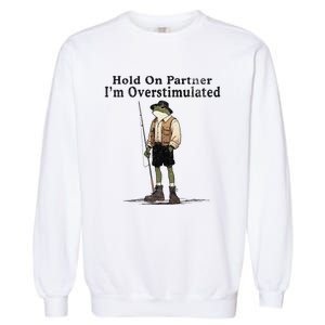 Hold On Partner IM Overstimulated Funny Frog Fishing Humor Garment-Dyed Sweatshirt