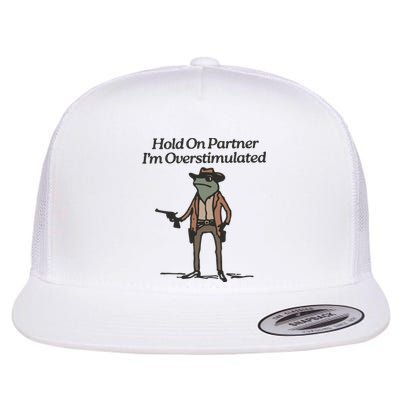 Hold On Partner IM Overstimulated Cowboy Frog Funny Flat Bill Trucker Hat