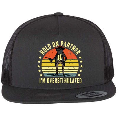 Hold On Partner IM Overstimulated Cowboy Frog Vintage Flat Bill Trucker Hat