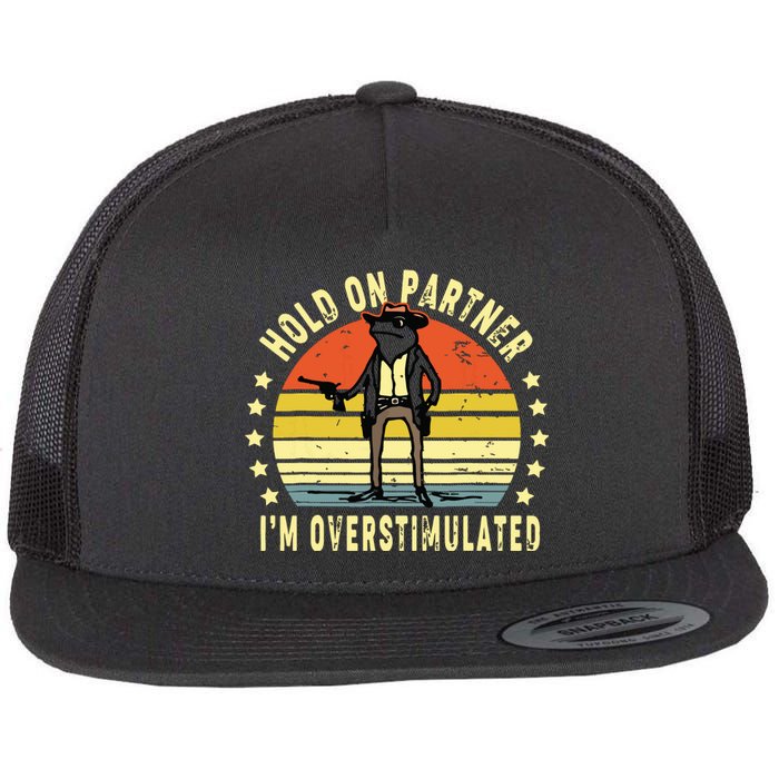 Hold On Partner IM Overstimulated Cowboy Frog Vintage Flat Bill Trucker Hat