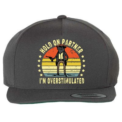 Hold On Partner IM Overstimulated Cowboy Frog Vintage Wool Snapback Cap