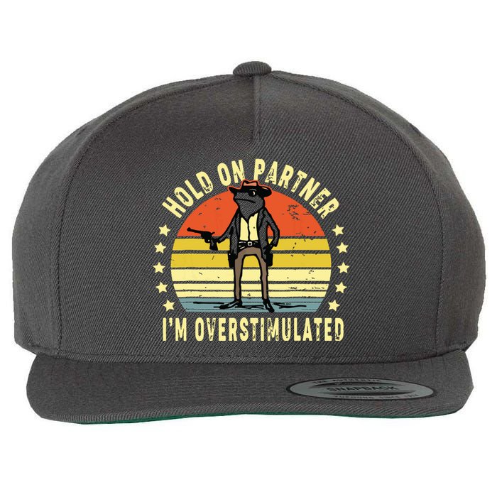 Hold On Partner IM Overstimulated Cowboy Frog Vintage Wool Snapback Cap