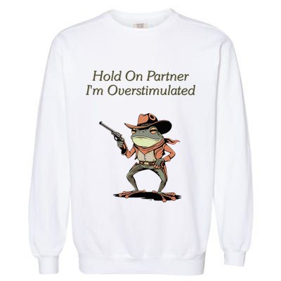 Hold On Partner IM Overstimulated Frog Garment-Dyed Sweatshirt