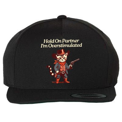 Hold On Partner IM Overstimulated Western Cat Cowboy Wool Snapback Cap