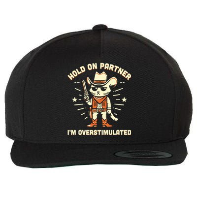 Hold On Partner IM Overstimulated Retro Western Cat Cowboy Wool Snapback Cap