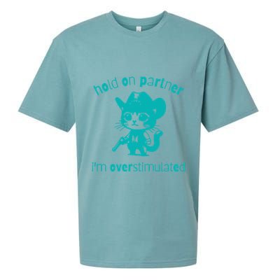 Hold On Partner IM Overstimulated Cat Sueded Cloud Jersey T-Shirt