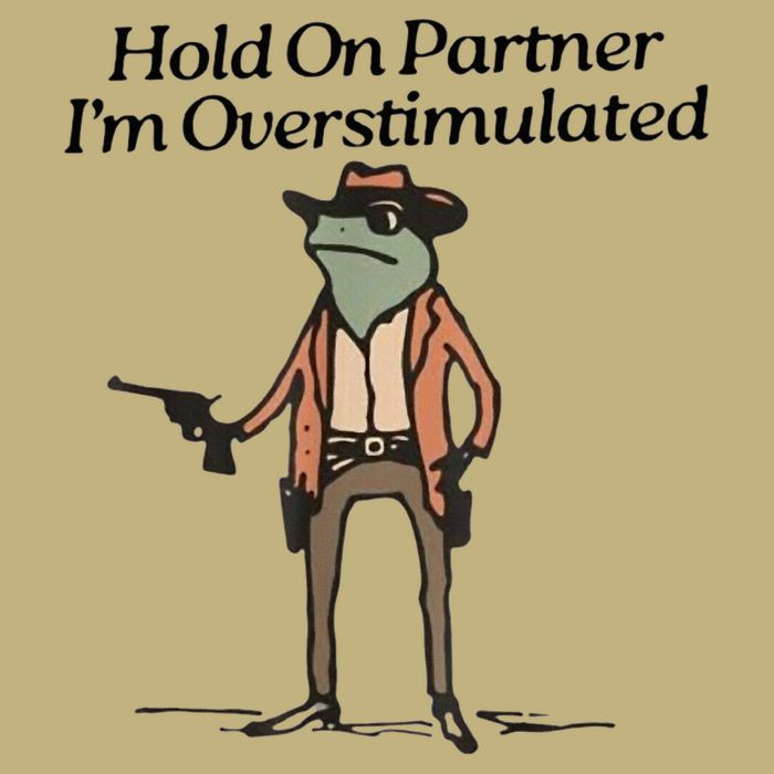 Hold On Partner IM Overstimulated Cowboy Frog Long Sleeve Shirt