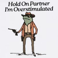 Hold On Partner IM Overstimulated Cowboy Frog Adult Drive Performance Visor