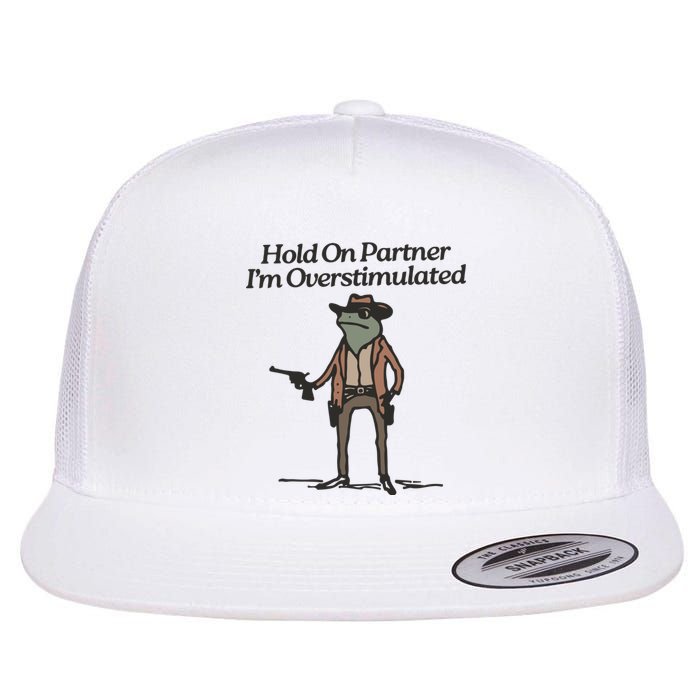 Hold On Partner IM Overstimulated Cowboy Frog Vintage Flat Bill Trucker Hat