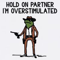 Hold On Partner IM Overstimulated Cowboy Frog Funny 11oz C Handle Ceramic Mug