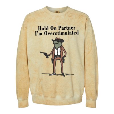 Hold On Partner IM Overstimulated Cowboy Frog Vintage Colorblast Crewneck Sweatshirt