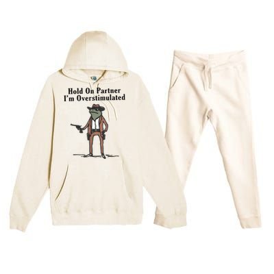 Hold On Partner IM Overstimulated Cowboy Frog Vintage Premium Hooded Sweatsuit Set