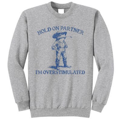 Hold On Partner IM Overstimulated Cow Frog Vintage Sweatshirt