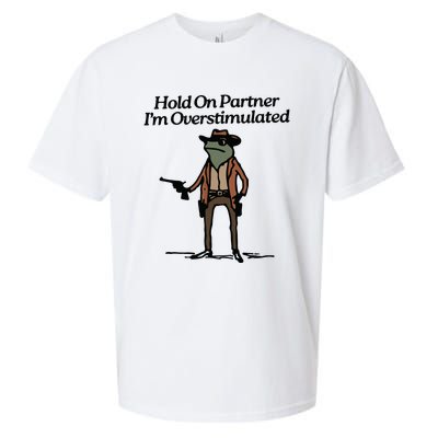 Hold On Partner Im Overstimulated Cowboy Frog Vintage Sueded Cloud Jersey T-Shirt