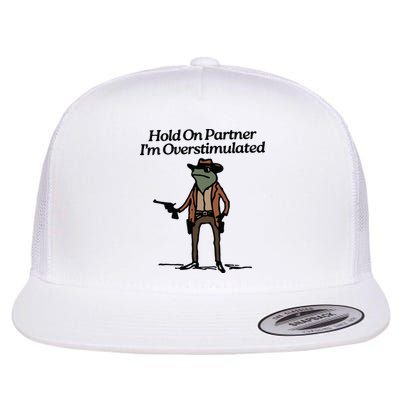 Hold On Partner Im Overstimulated Cowboy Frog Vintage Flatbill Hat