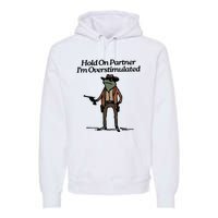 Hold On Partner Im Overstimulated Cowboy Frog Vintage Premium Hoodie