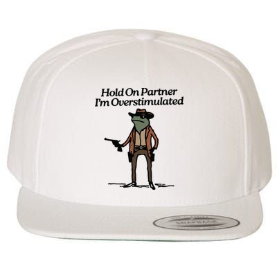 Hold On Partner Im Overstimulated Cowboy Frog Vintage Wool Snapback Cap
