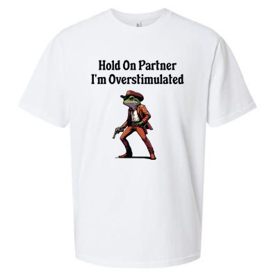 Hold On Partner Im Overstimulated Cowboy Frog Sueded Cloud Jersey T-Shirt