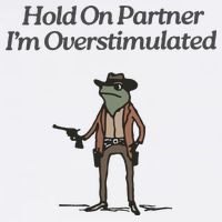 Hold On Partner IM Overstimulated Cowboy Frog Vintage Mug