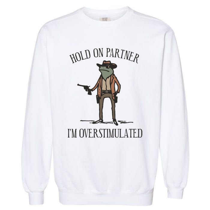 Hold On Partner IM Overstimulated Cowboy Frog Vintage Garment-Dyed Sweatshirt