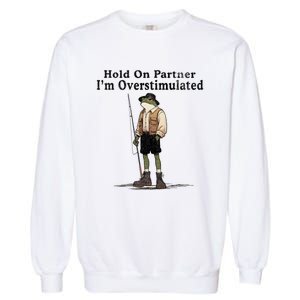 Hold On Partner IM Overstimulated Funny Frog Fishing Humor Garment-Dyed Sweatshirt