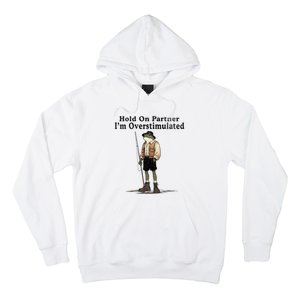 Hold On Partner IM Overstimulated Funny Frog Fishing Humor Hoodie