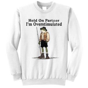 Hold On Partner IM Overstimulated Funny Frog Fishing Humor Sweatshirt