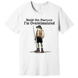 Hold On Partner IM Overstimulated Funny Frog Fishing Humor Premium T-Shirt