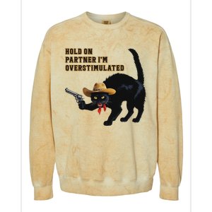 Hold On Partner IM Overstimulated Black Cat Colorblast Crewneck Sweatshirt