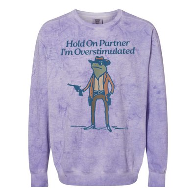 Hold On Partner IM Overstimulated Cowboy Frog Vintage Colorblast Crewneck Sweatshirt