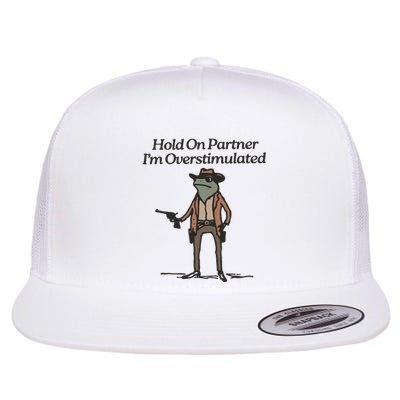 Hold On Partner IM Overstimulated Cowboy Frog Funny Flat Bill Trucker Hat