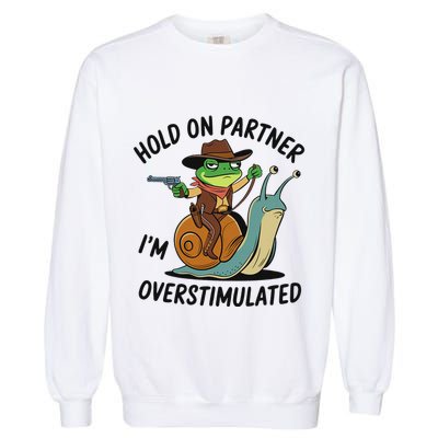 Hold On Partner IM Overstimulated Cowboy Frog Riding Snail Garment-Dyed Sweatshirt