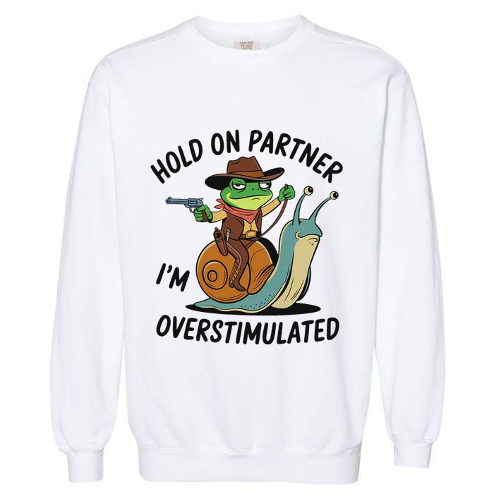 Hold On Partner IM Overstimulated Cowboy Frog Riding Snail Garment-Dyed Sweatshirt