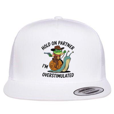 Hold On Partner IM Overstimulated Cowboy Frog Riding Snail Flatbill Hat