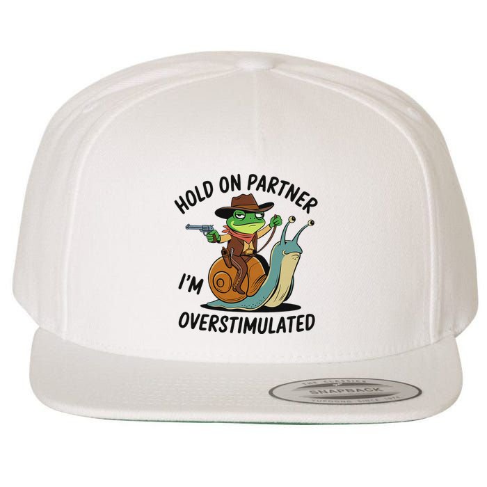 Hold On Partner IM Overstimulated Cowboy Frog Riding Snail Wool Snapback Cap