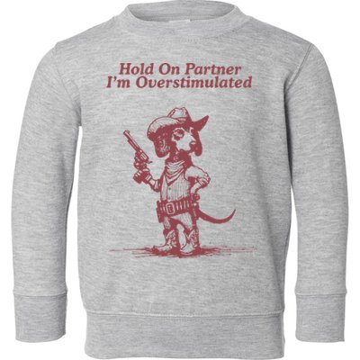 Hold On Partner IM Overstimulated Cowboy Dachshund Dogs Toddler Sweatshirt