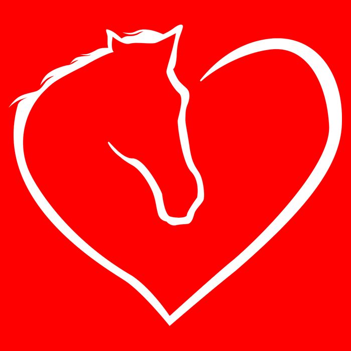 Horse Heart Logo Flatbill Hat