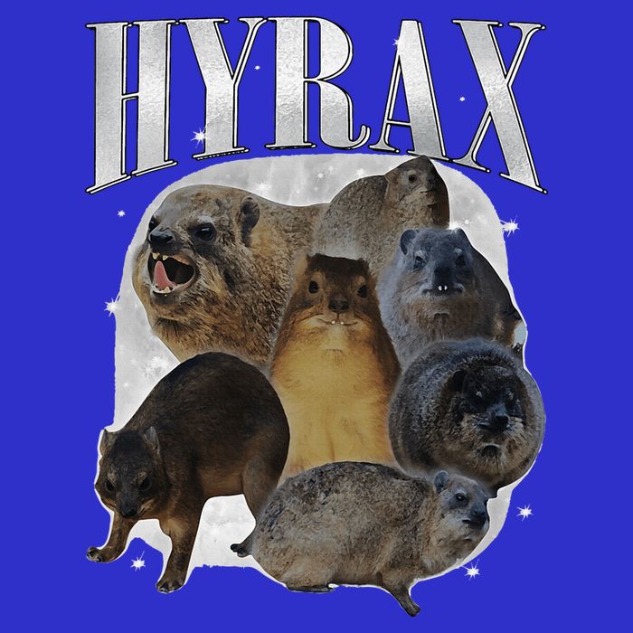 Hyrax Oddly Specific Meme Animal For Family Button
