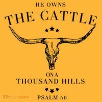 He Owns The Cattle On A Thousand Hills Pom Pom 12in Knit Beanie