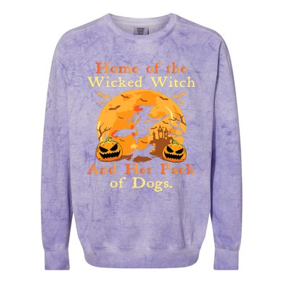 Home Of The Wicked Witch And Her Pack Of Dog Funny Halloween Colorblast Crewneck Sweatshirt