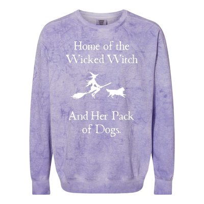 Home Of The Wicked Witch And Her Pack Of Dog Funny Halloween Colorblast Crewneck Sweatshirt