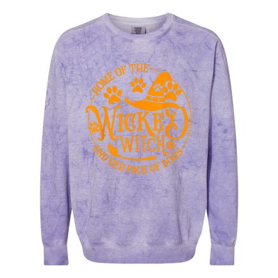 Home Of The Wicked Witch And Her Pack Of Dog Funny Halloween Colorblast Crewneck Sweatshirt